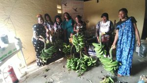 Lire la suite à propos de l’article Don de régimes plantains